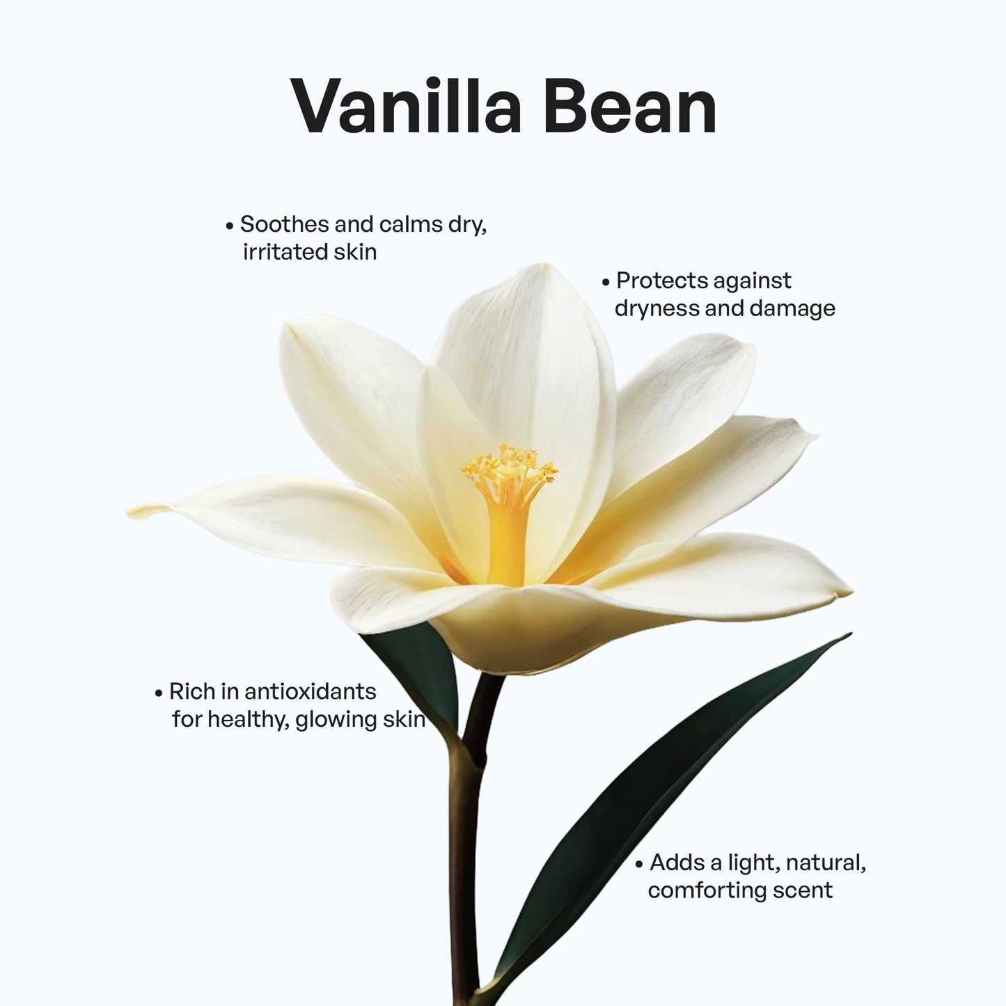 Whipped Grass-Fed Tallow Balm with Vanilla Bean