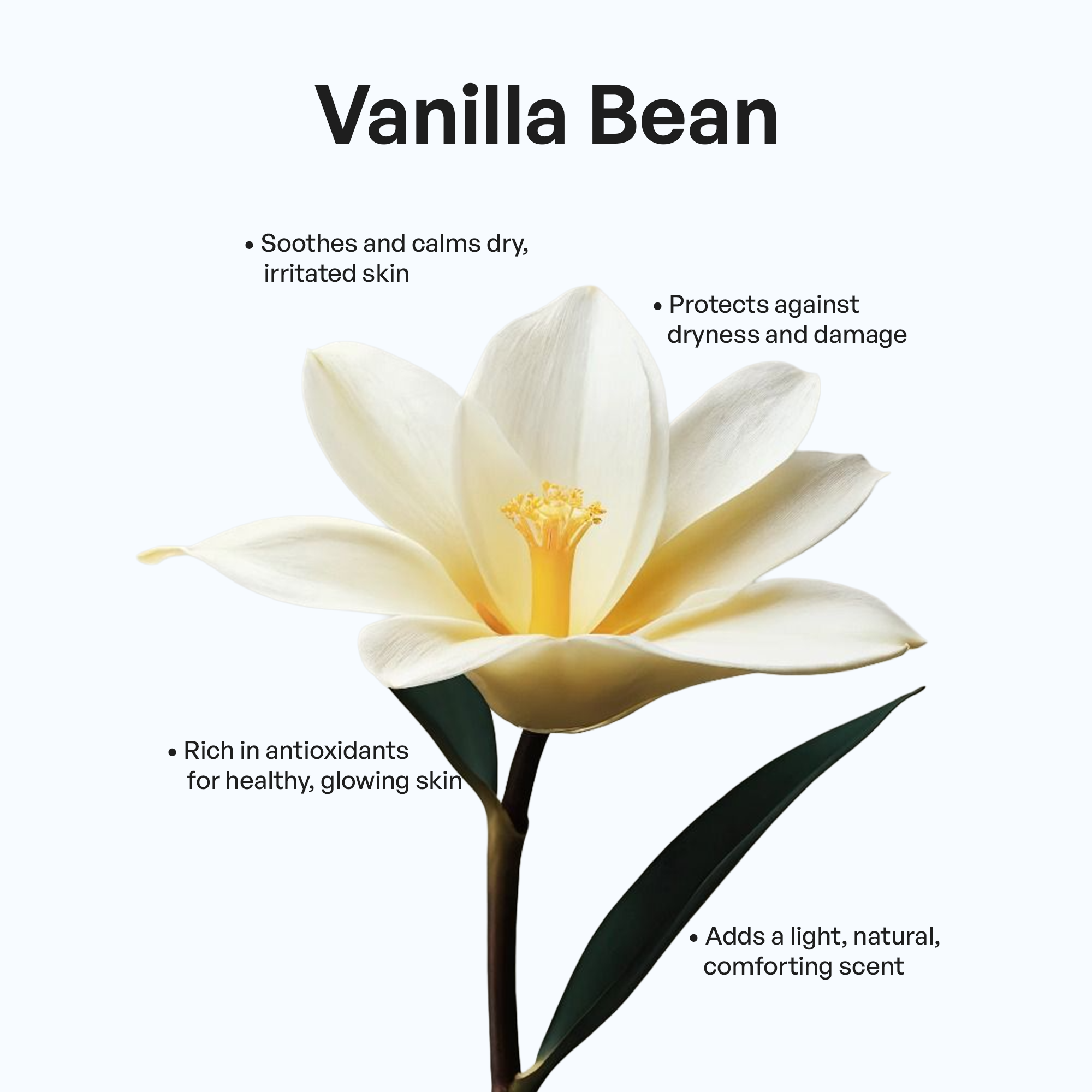 Whipped Grass-Fed Tallow Balm with Vanilla Bean